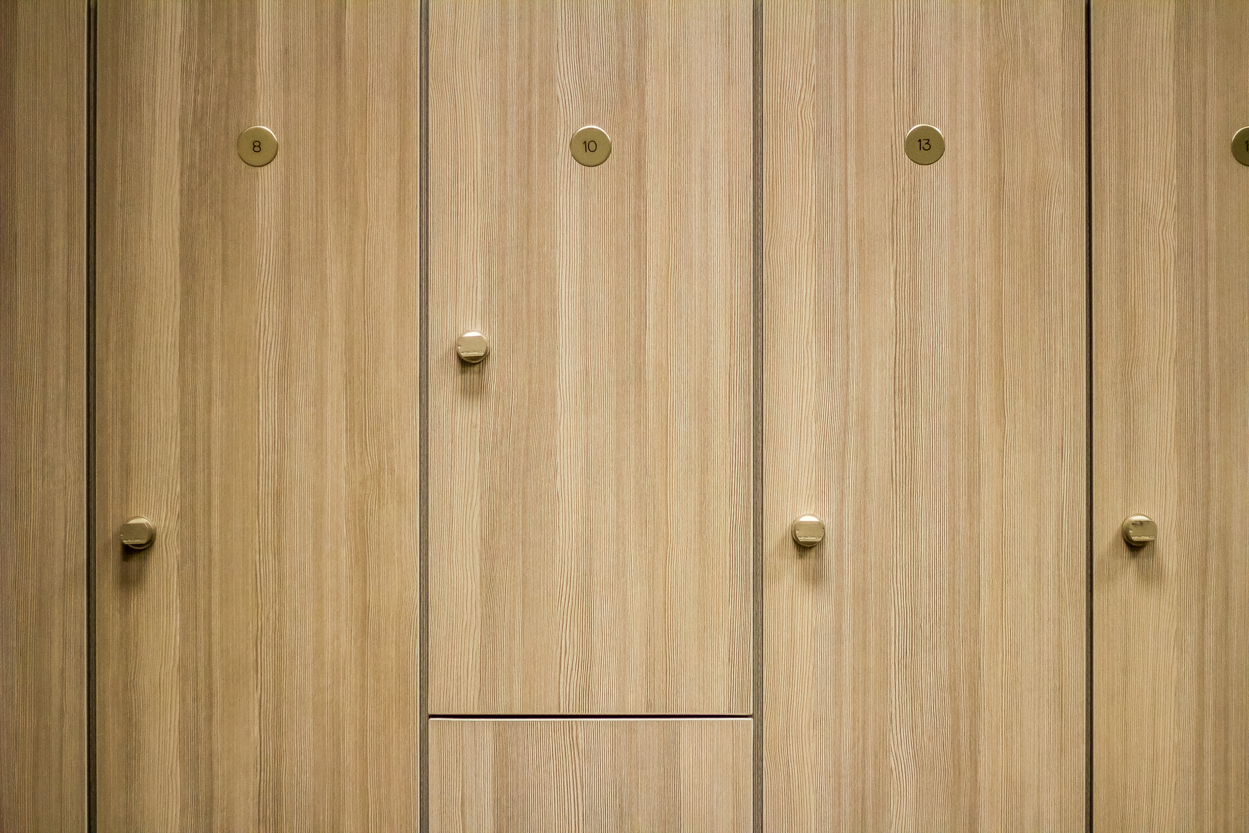 Hollman Wood Veneer Lockers